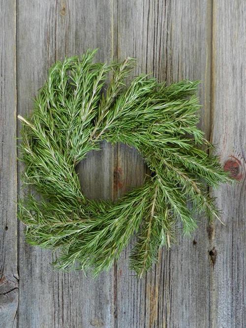 16 IN FRESH ROSEMARY GREEN WREATH